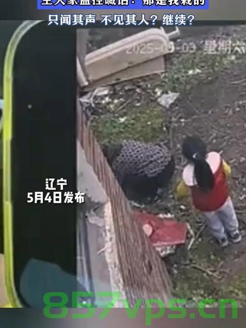 老人带娃偷菜被监控拍下，科技与道德之间的微妙平衡智能免费问答EasyAI m.857vps.cn，老人带娃偷菜被监控拍下，科技与道德平衡的微妙挑战，科技与道德的微妙平衡，老人带娃偷菜被监控拍下引发的深思 第2张