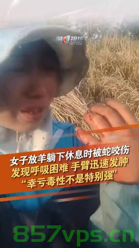 女子放羊休息遭遇蛇咬，现场惊魂一刻智能免费问答EasyAI m.857vps.cn，女子放羊遭蛇咬惊魂一刻，智能问答系统紧急救援故事 m.857vps.cn 第1张