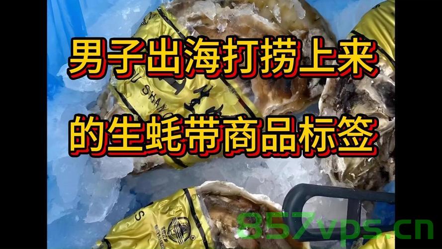 男子出海打捞生蚝，竟发现带商品标签的奇迹智能免费问答EasyAI m.857vps.cn，男子出海打捞生蚝意外发现智能问答奇迹——EasyAI m.857vps.cn标签商品标签浮出水面 第1张