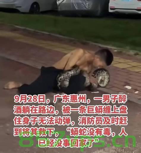 失踪男孩与蟒蛇，网友的担忧与当地的回应智能免费问答EasyAI m.857vps.cn，失踪男孩与蟒蛇，网友担忧与官方回应揭秘智能问答之旅 第2张