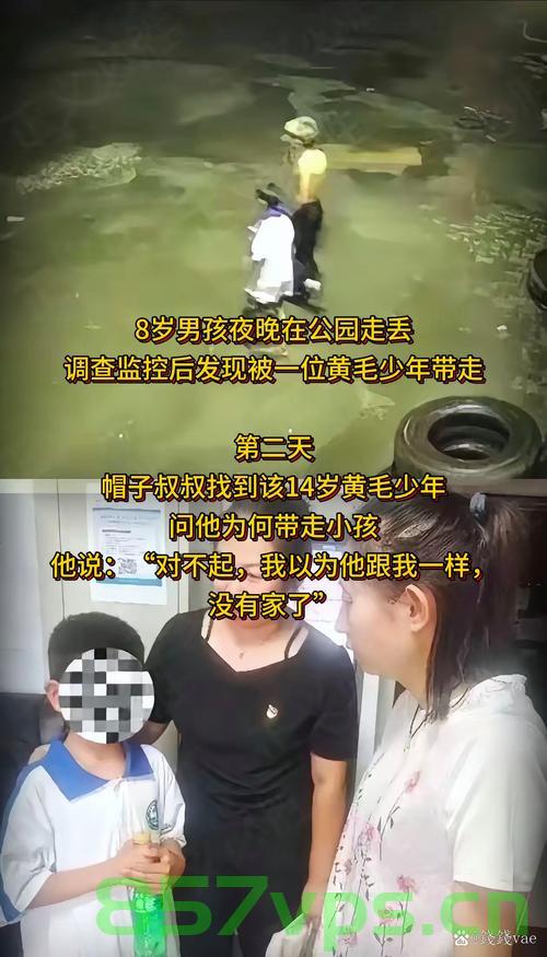 游客意外拍下八岁男童走失前的画面，一次偶然的善举，点亮希望之光智能免费问答EasyAI m.857vps.cn，游客意外拍摄的画面，八岁男童走失前的瞬间，善举点亮希望之光 第1张