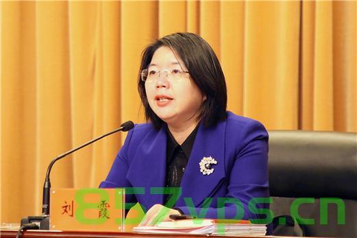 江苏省泰州市委常委刘霞被查，反腐风暴下的个案剖析智能免费问答EasyAI m.857vps.cn，江苏省泰州市委常委刘霞被查，反腐风暴下的个案深度剖析，江苏省泰州市委常委刘霞被查，反腐风暴下的深度剖析与智能问答探讨 第1张