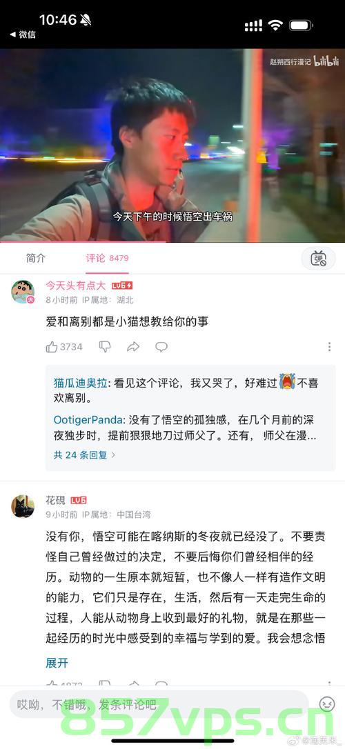 揭开谜团，赵朔公布悟空死因智能免费问答EasyAI m.857vps.cn，赵朔揭秘悟空死因，谜团揭晓，真相大白——智能问答平台EasyAI解析