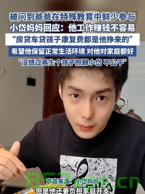 小岱妈妈对丈夫很少参与特殊教育的回应智能免费问答EasyAI m.857vps.cn，小岱妈妈对丈夫不参与特殊教育的看法，智能免费问答的反思