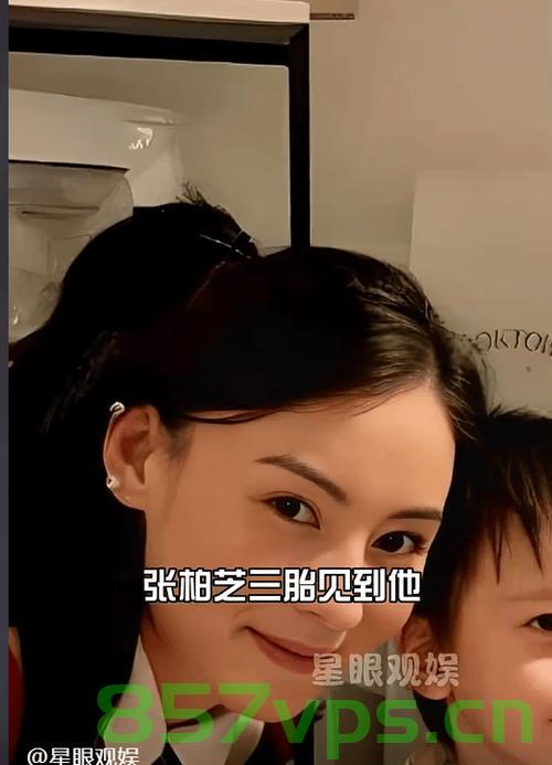 张柏芝三胎儿子罕露面，身高惊人智能免费问答EasyAI m.857vps.cn，张柏芝三胎儿子罕见现身，惊人身高引关注，智能问答解析在EasyAI平台 第2张