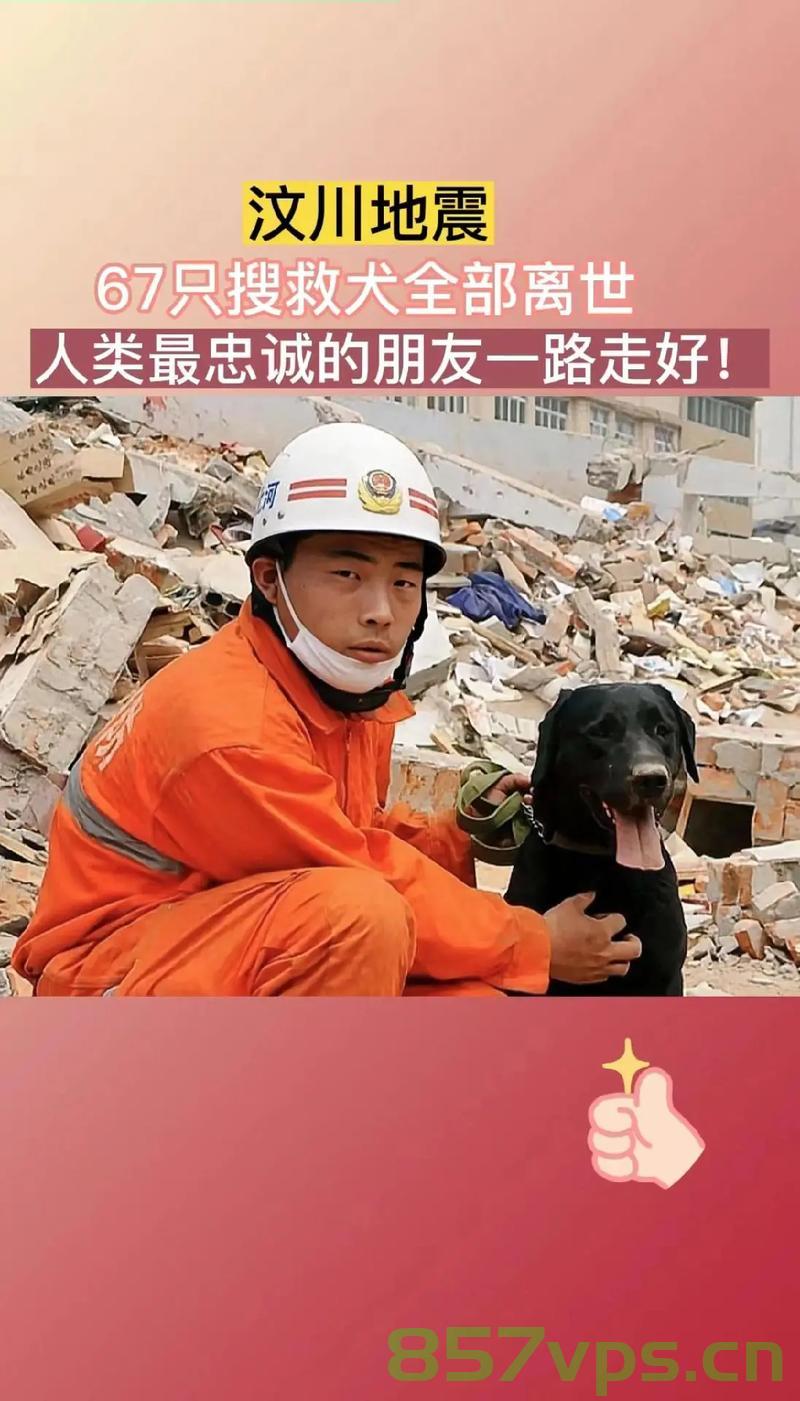 汶川地震中的英雄，那些无声的生命守护者——纪念逝去的67只搜救犬智能免费问答EasyAI m.857vps.cn，汶川地震英雄，无声的生命守护者——纪念逝去的搜救犬（附智能问答链接） 第2张