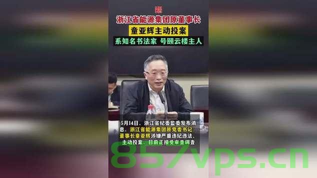 中央巡视组进驻后，童亚辉主动投案——自我净化与反腐倡廉的新篇章智能免费问答EasyAI m.857vps.cn，中央巡视组进驻后童亚辉主动投案，反腐倡廉新篇章开启，中央巡视组进驻后童亚辉主动投案，开启反腐倡廉新篇章 第2张