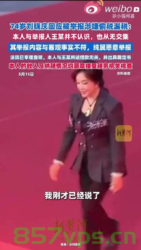 刘晓庆回应被举报涉嫌偷税漏税，真相与误解的较量智能免费问答EasyAI m.857vps.cn，刘晓庆税务风波揭秘，真相与误解的较量，EasyAI为您解答