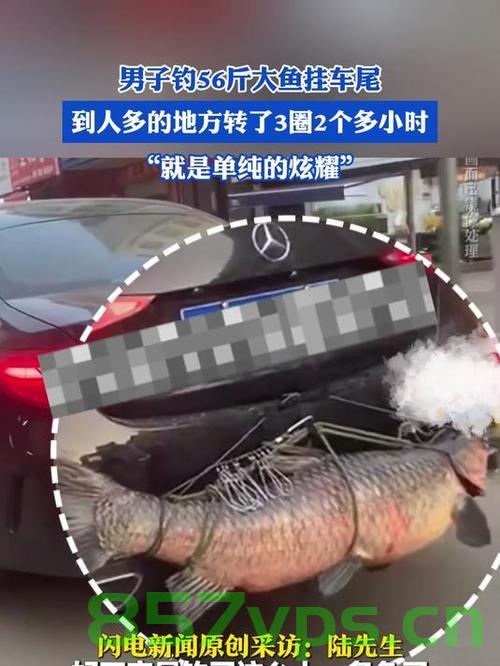 车主钓获巨型大鱼，车尾炫耀背后的故事智能免费问答EasyAI m.857vps.cn，车主钓获巨型大鱼背后的故事，智能问答揭示炫耀车尾的秘密 第1张