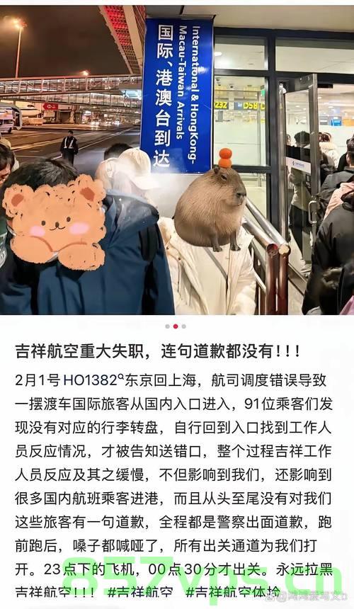 上海飞往韩国航班突发变故，连夜飞回国智能免费问答EasyAI m.857vps.cn，上海飞往韩国航班突发变故，紧急回国智能问答服务启动 第2张