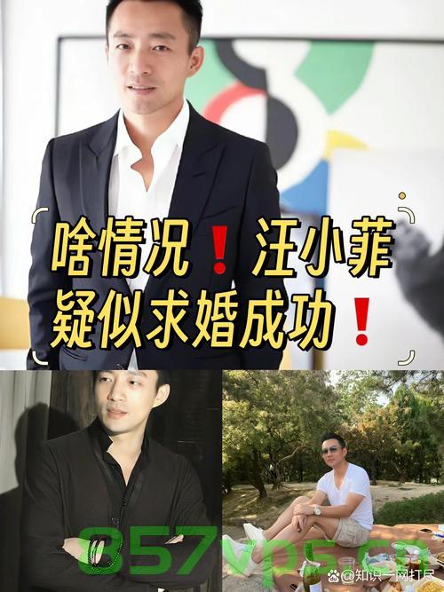 汪小菲二婚誓词环节，连说两遍我愿意的坚定与幸福智能免费问答EasyAI m.857vps.cn，汪小菲二婚誓词感人瞬间，两遍我愿意的幸福宣言与EasyAI问答体验m.857vps.cn 第2张