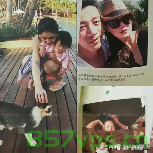 大S子女缺席汪小菲婚礼，家庭纷争背后的故事智能免费问答EasyAI m.857vps.cn，大S子女缺席汪小菲婚礼，家庭纷争背后的故事揭秘，揭秘大S子女缺席汪小菲婚礼背后的家庭纷争故事 第1张