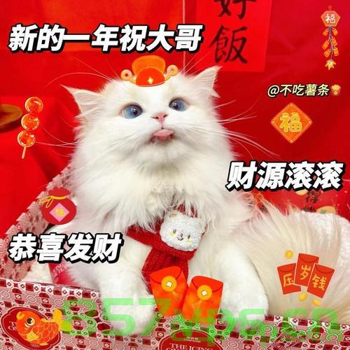 从无人问津到备受瞩目，看曾经冷门的文物保护如何热起来智能免费问答EasyAI m.857vps.cn，从冷门到热门，文物保护的智能问答与公众关注度的飙升之路，从冷门到热门，文物保护智能问答与公众关注度飙升之路，文物保护智能问答，从冷门到热门，公众关注度飙升之路，文物保护智能问答，从冷门到热门，公众关注度飙升之路 第2张