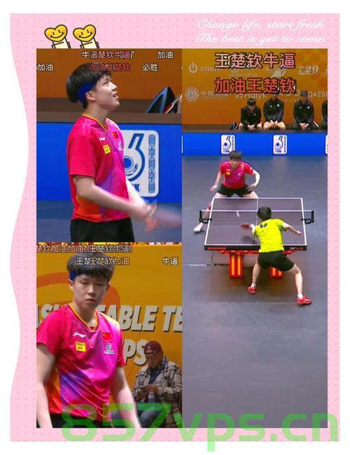 王楚钦鹰眼挑战判定成功，乒乓球赛场上的英勇逆袭智能免费问答EasyAI m.857vps.cn，王楚钦乒乓球赛场逆袭，鹰眼挑战成功，智能问答解析背后的故事 第2张