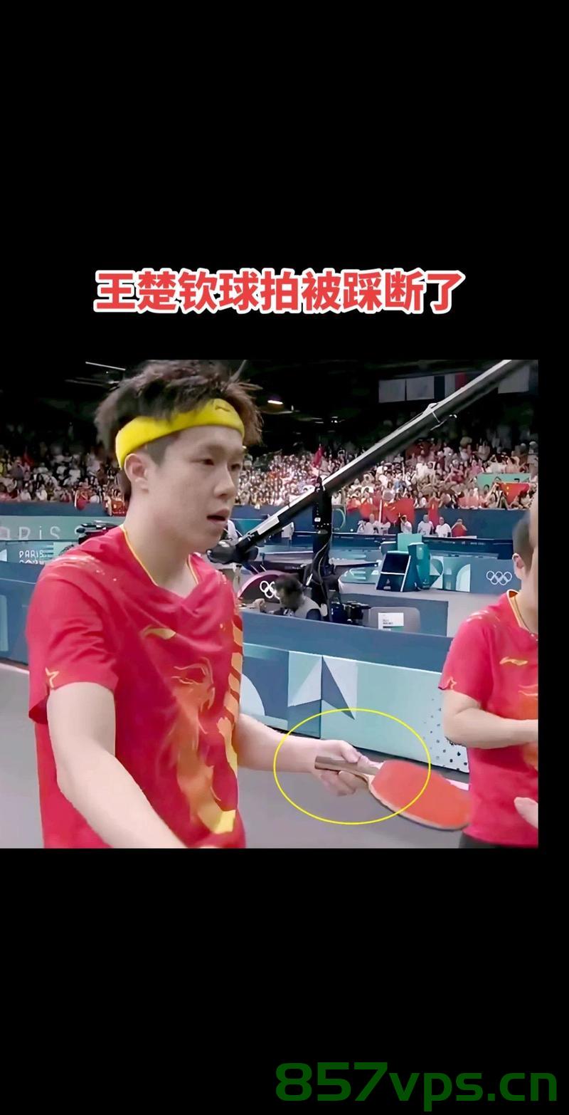 王楚钦的球拍背后的故事，如何可能被损坏的探究智能免费问答EasyAI m.857vps.cn，王楚钦球拍背后的故事，损坏原因探究与智能问答解析 第2张