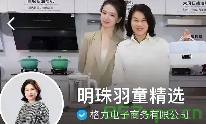董明珠与孟羽童直播，能否化解格力电器营收焦虑？智能免费问答EasyAI m.857vps.cn，董明珠与孟羽童直播，能否缓解格力电器营收压力？ 第2张