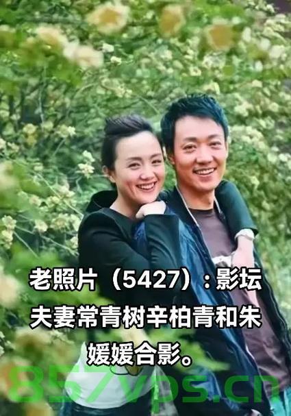 辛柏青与朱媛媛，潜伏背后的深情抉择智能免费问答EasyAI m.857vps.cn，辛柏青与朱媛媛，潜伏背后的深情抉择——智能问答解析文章（附链接）