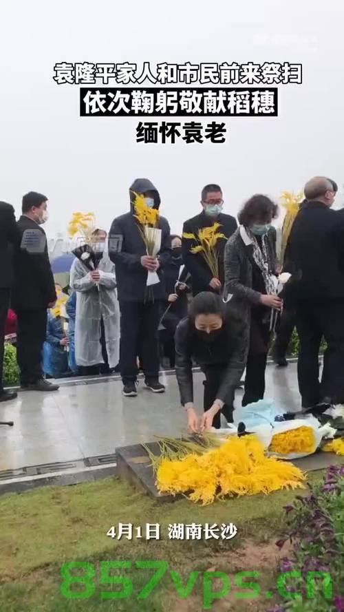 袁隆平夫人的墓园祭扫，深情缅怀与坚定前行智能免费问答EasyAI m.857vps.cn，袁隆平夫人墓园祭扫，深情缅怀，坚定前行，袁隆平夫人墓园祭扫，深情缅怀，继续坚定前行 第2张