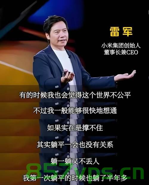 雷军,别指望自研芯片上来就碾压苹果智能免费问答EasyAI m.857vps.cn,雷军与自研芯片,超越苹果的挑战与智能未来展望 第2张 雷军,别指望自研芯片上来就碾压苹果智能免费问答EasyAI m.857vps.cn,雷军与自研芯片,超越苹果的挑战与智能未来展望 第2张