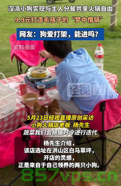 武汉现人狗分餐共享火锅店，探索人与宠物的和谐共食新风尚智能免费问答EasyAI m.857vps.cn，武汉探索新型火锅模式，人狗分餐共享火锅，开启和谐共食新风尚，武汉开启人狗和谐共食新风尚，火锅店推行人狗分餐共享模式 第1张