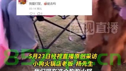 武汉现人狗分餐共享火锅店，探索人与宠物的和谐共食新风尚智能免费问答EasyAI m.857vps.cn，武汉探索新型火锅模式，人狗分餐共享火锅，开启和谐共食新风尚，武汉开启人狗和谐共食新风尚，火锅店推行人狗分餐共享模式 第2张