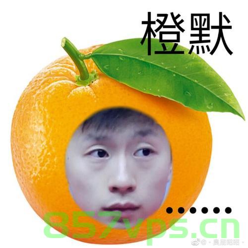 马龙也玩谐音梗，运动场上的智慧与幽默智能免费问答EasyAI m.857vps.cn，马龙运动场上的智慧与幽默，谐音梗展现智能问答魅力 第2张