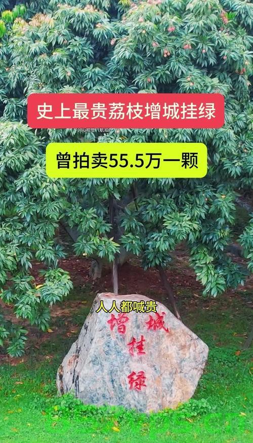 广西千年荔枝树采摘权拍卖，一元的传奇与未来的展望智能免费问答EasyAI m.857vps.cn，广西千年荔枝树采摘权拍卖背后的传奇与展望，一元拍卖与智能免费问答的未来
