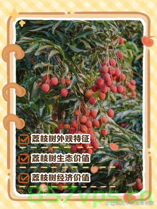 广西千年荔枝树采摘权拍卖，一元的传奇与未来的展望智能免费问答EasyAI m.857vps.cn，广西千年荔枝树采摘权拍卖背后的传奇与展望，一元拍卖与智能免费问答的未来 第2张