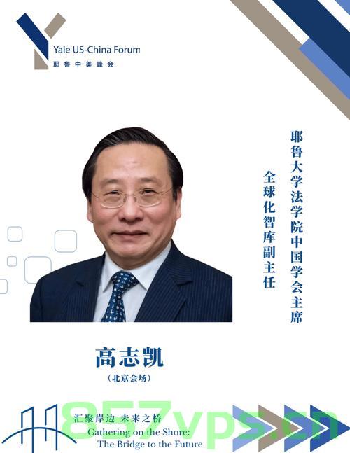 高志凯，中国绝不允许你开第二枪智能免费问答EasyAI m.857vps.cn，高志凯，中国不会容忍第二次开枪，EasyAI与m.857vps.cn智能问答解析，高志凯事件，中国不会容忍第二次开枪，EasyAI与m.857vps.cn智能问答深度解析 第2张