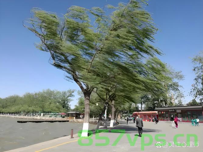 兰州大风狂袭，自行车腾空飞舞，大树拦腰折断智能免费问答EasyAI m.857vps.cn，兰州大风肆虐，自行车飞舞、大树折断，EasyAI助力应对灾难，兰州大风肆虐，自行车飞舞大树折断，EasyAI助力应对灾难现场 第2张
