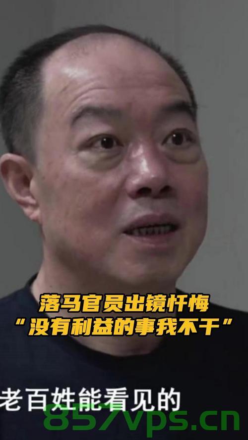 副部级官员落马背后的故事，笛韵与武术的反思智能免费问答EasyAI m.857vps.cn，副部级官员落马背后的故事，笛韵与武术的反思与智能免费问答探究，副部级官员落马背后的故事，笛韵武术与智能免费问答的反思与探究 第2张