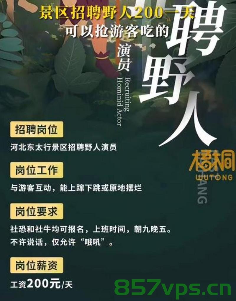 河南一景区高薪招聘帅气NPC，月薪高达三万智能免费问答EasyAI m.857vps.cn，河南景区高薪招聘帅气NPC，月薪三万，智能问答助手上线！