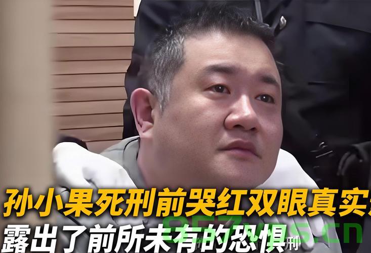 陕西版孙小果获死刑，曾纸面服刑的警示智能免费问答EasyAI m.857vps.cn，陕西版孙小果获死刑，警示智能免费问答背后的故事，陕西版孙小果获死刑，警示智能问答背后的故事与纸面服刑反思
