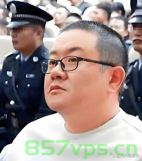 陕西版孙小果获死刑，曾纸面服刑的警示智能免费问答EasyAI m.857vps.cn，陕西版孙小果获死刑，警示智能免费问答背后的故事，陕西版孙小果获死刑，警示智能问答背后的故事与纸面服刑反思 第2张