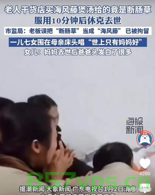 两老人送孙子上学在校门口被撞身亡的悲剧事件智能免费问答EasyAI m.857vps.cn，免费问答平台引发关注，两老人送孙子上学遭遇车祸悲剧事件，两老人送孙子上学遭遇车祸悲剧事件，引发关注，免费问答平台背后的反思与警醒 第1张
