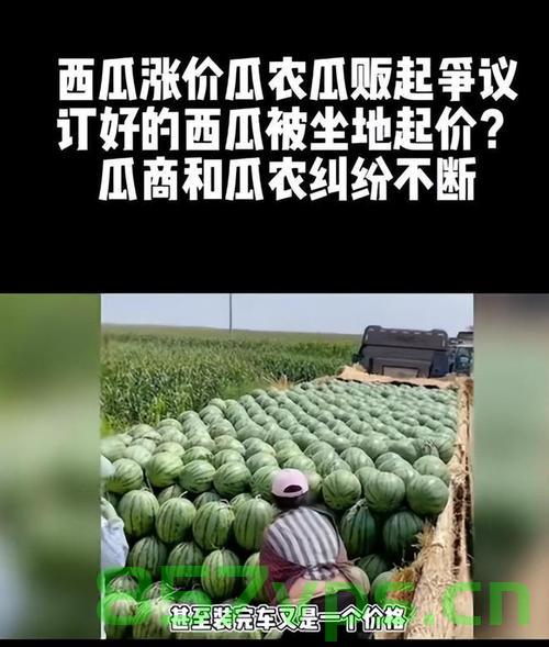 瓜价低迷，广西瓜农无奈之举引发深思智能免费问答EasyAI m.857vps.cn，瓜价低迷引发深思，广西瓜农困境与智能农业的挑战