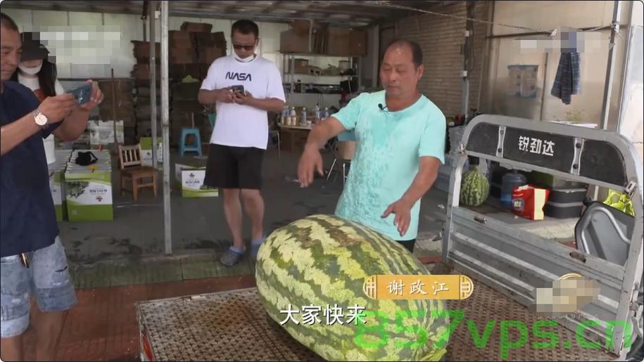 瓜价低迷，广西瓜农无奈之举引发深思智能免费问答EasyAI m.857vps.cn，瓜价低迷引发深思，广西瓜农困境与智能农业的挑战 第2张
