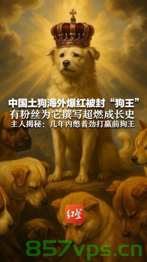土狗海外爆红，被封狗王，传奇故事被写进传记智能免费问答EasyAI m.857vps.cn，土狗海外爆红，传奇狗王传奇故事与智能问答EasyAI 第2张