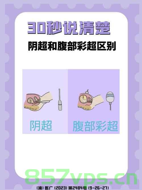 医生误将腹超做成阴超引发的停工事件深度剖析智能免费问答EasyAI m.857vps.cn，医生误将腹超误做阴超引发停工事件，深度剖析与智能免费问答解析，深度剖析医生误将腹超做成阴超引发的停工事件，智能免费问答与反思探讨，医生误将腹超误做阴超引发的停工事件深度剖析，反思与智能问答探讨 第1张