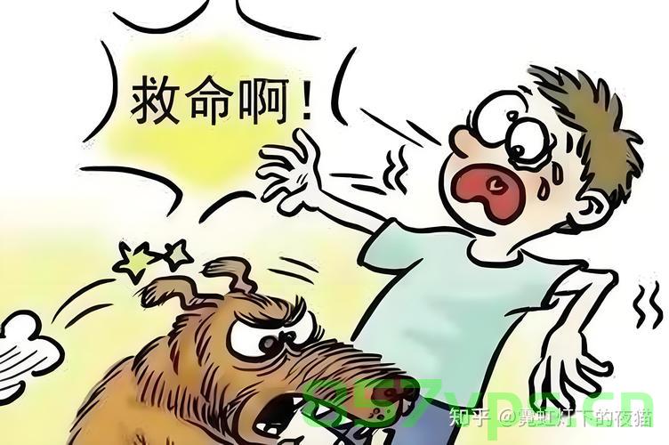 律师回应女子为四只宠物狗立遗嘱，人与动物的情感纽带与法律边界智能免费问答EasyAI m.857vps.cn，女子为宠物狗立遗嘱背后的情感纽带与法律边界探讨，律师回应与智能问答解析，律师解析，女子为宠物狗立遗嘱背后的情感纽带与法律边界探讨 第2张