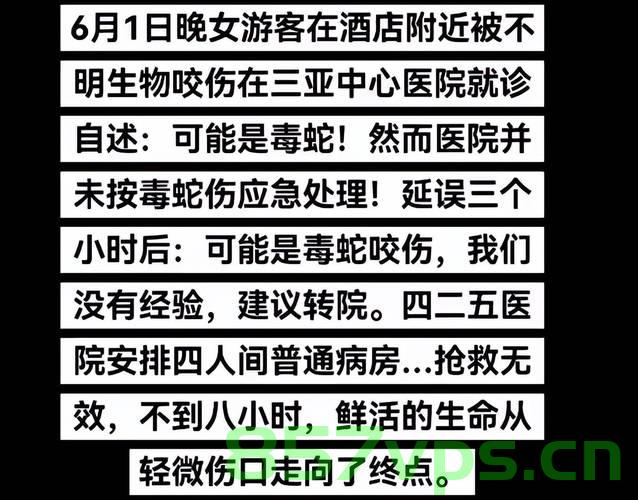 三亚女子疑似遭遇银环蛇咬伤事件推测分析智能免费问答EasyAI m.857vps.cn，三亚女子疑似银环蛇咬伤事件分析，推测分析与智能问答平台EasyAI解析，三亚女子疑似银环蛇咬伤事件分析与智能问答平台EasyAI解析 第1张