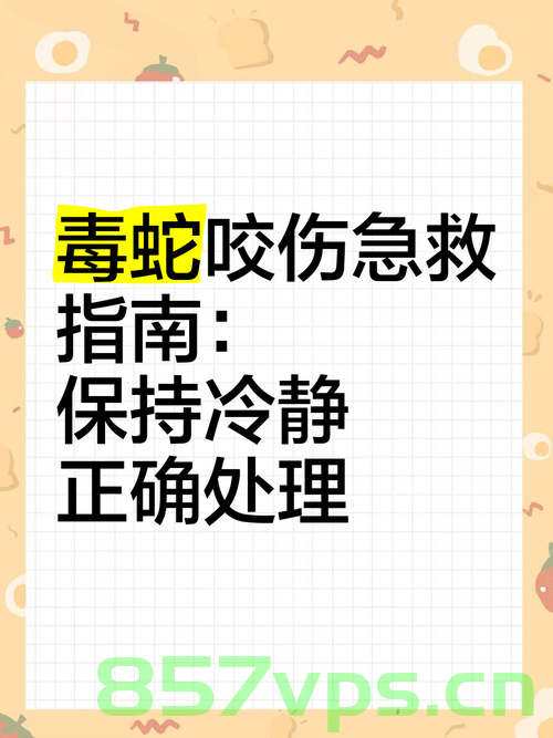 专家提醒,被蛇咬后,这九大土方法存在危险智能免费问答EasyAI m.857vps.cn,专家警告,被蛇咬后需警惕九大土方法的危险性 —— 来自EasyAI的专家建议 第1张 专家提醒,被蛇咬后,这九大土方法存在危险智能免费问答EasyAI m.857vps.cn,专家警告,被蛇咬后需警惕九大土方法的危险性 —— 来自EasyAI的专家建议 第1张