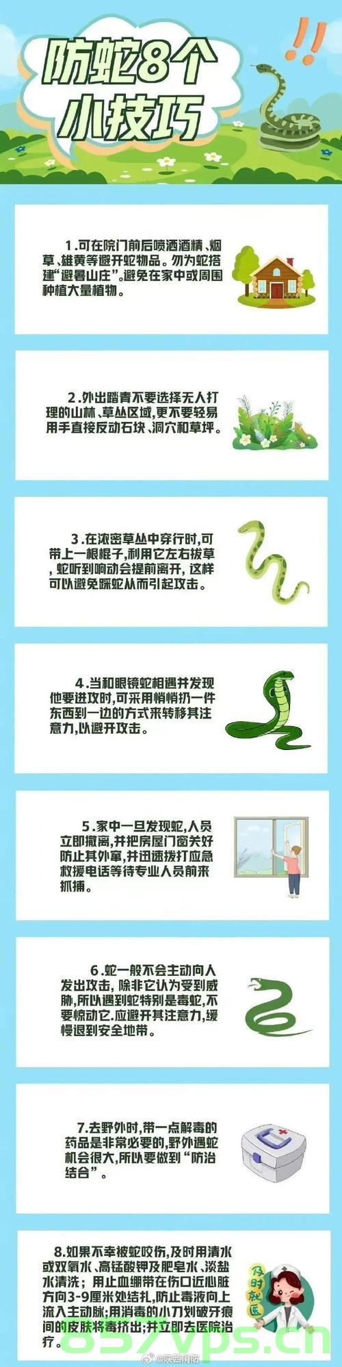 专家提醒,被蛇咬后,这九大土方法存在危险智能免费问答EasyAI m.857vps.cn,专家警告,被蛇咬后需警惕九大土方法的危险性 —— 来自EasyAI的专家建议 第2张 专家提醒,被蛇咬后,这九大土方法存在危险智能免费问答EasyAI m.857vps.cn,专家警告,被蛇咬后需警惕九大土方法的危险性 —— 来自EasyAI的专家建议 第2张