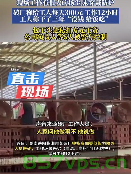 砖厂涉嫌利用智障者务工，负责人被控制智能免费问答EasyAI m.857vps.cn，砖厂涉嫌利用智障者务工，负责人被控制，揭示智能时代的劳工权益挑战 第1张