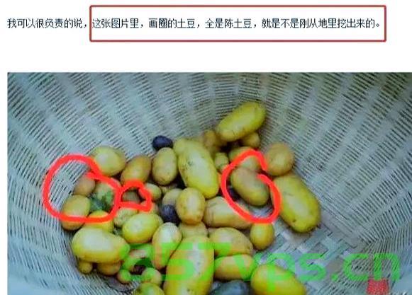 安徽发生大规模土豆哄抢事件，500亩土豆遭村民哄抢，背后原因引人深思智能免费问答EasyAI m.857vps.cn，安徽发生大规模土豆哄抢事件，500亩土豆遭村民哄抢，背后原因引人深思（事件报道）