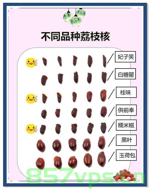 荔枝价格暴跌七成的背后原因及影响分析智能免费问答EasyAI m.857vps.cn，荔枝价格暴跌七成背后的原因及影响分析，智能免费问答平台EasyAI深度解析，荔枝价格暴跌七成的深度分析与影响，智能问答平台EasyAI揭示背后的原因及后果解析 第2张