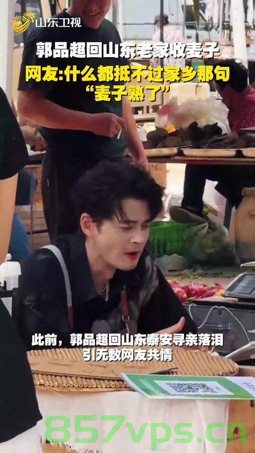 收获季节的温情回归，演员郭品超回山东老家收麦子智能免费问答EasyAI m.857vps.cn，收获季节温情回归，郭品超回山东老家体验智能收麦子之旅——EasyAI m.857vps.cn，郭品超山东老家智能收麦子之旅，收获季节的温情回归——EasyAI m.857vps.cn体验报道