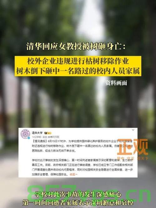清华回应女教授被树砸身亡事件，深度探究与反思智能免费问答EasyAI m.857vps.cn，清华女教授遇难事件深度反思，智能问答系统与校园安全探讨，清华女教授遇树砸身亡事件深度反思，智能问答系统与校园安全探讨 第1张