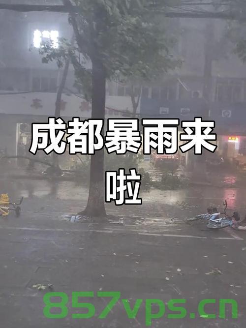 成都大暴雨致多地积水，市民创意划船出行智能免费问答EasyAI m.857vps.cn，成都暴雨引发积水，市民创意划船出行，智能问答平台EasyAI解析助你应对困境。，成都暴雨引发积水，创意划船出行与智能问答平台EasyAI应对困境。