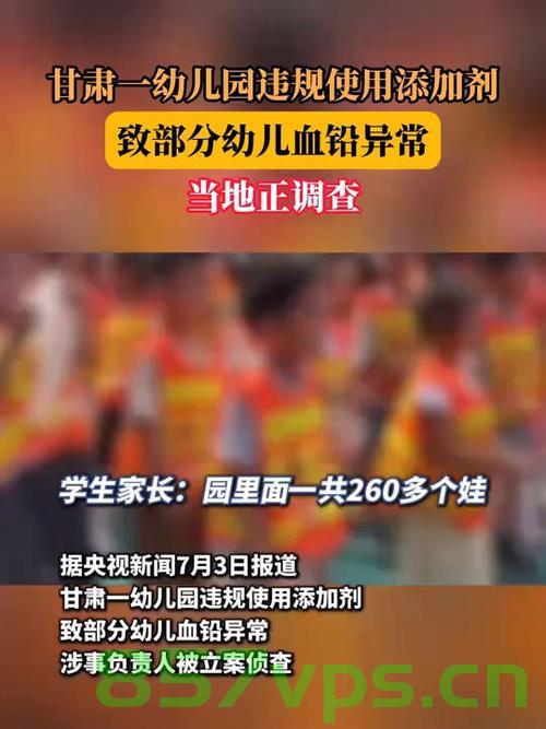 甘肃一幼儿园使用添加剂导致幼儿血铅异常事件智能免费问答EasyAI m.857vps.cn，甘肃幼儿园添加剂引发血铅异常事件，智能免费问答揭示真相 第2张